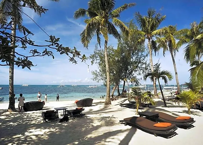 Buena Vida And 3*